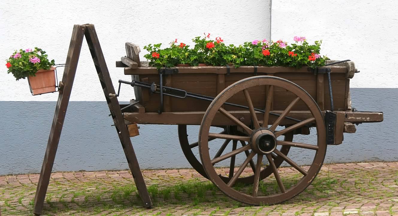 Floral cart