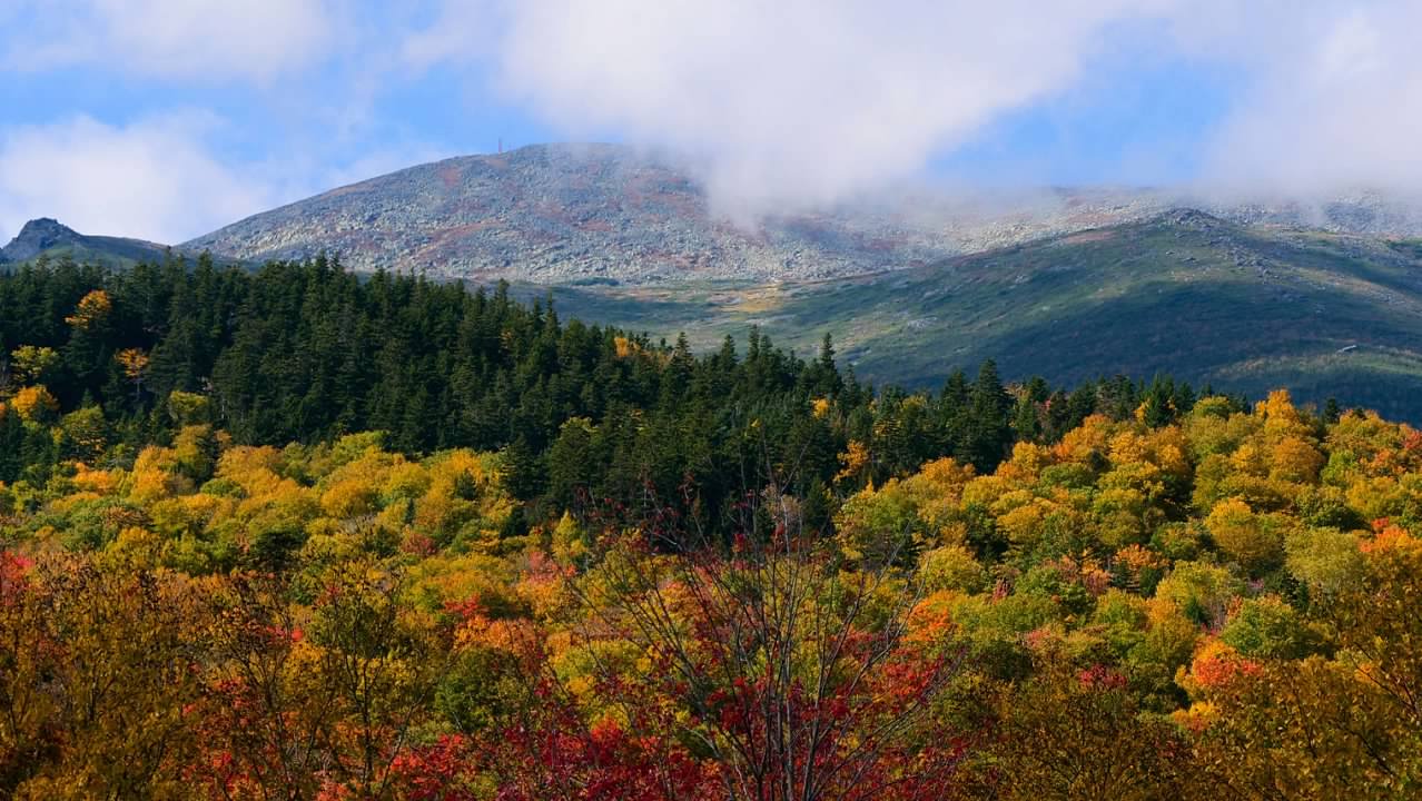 Mt. Washington