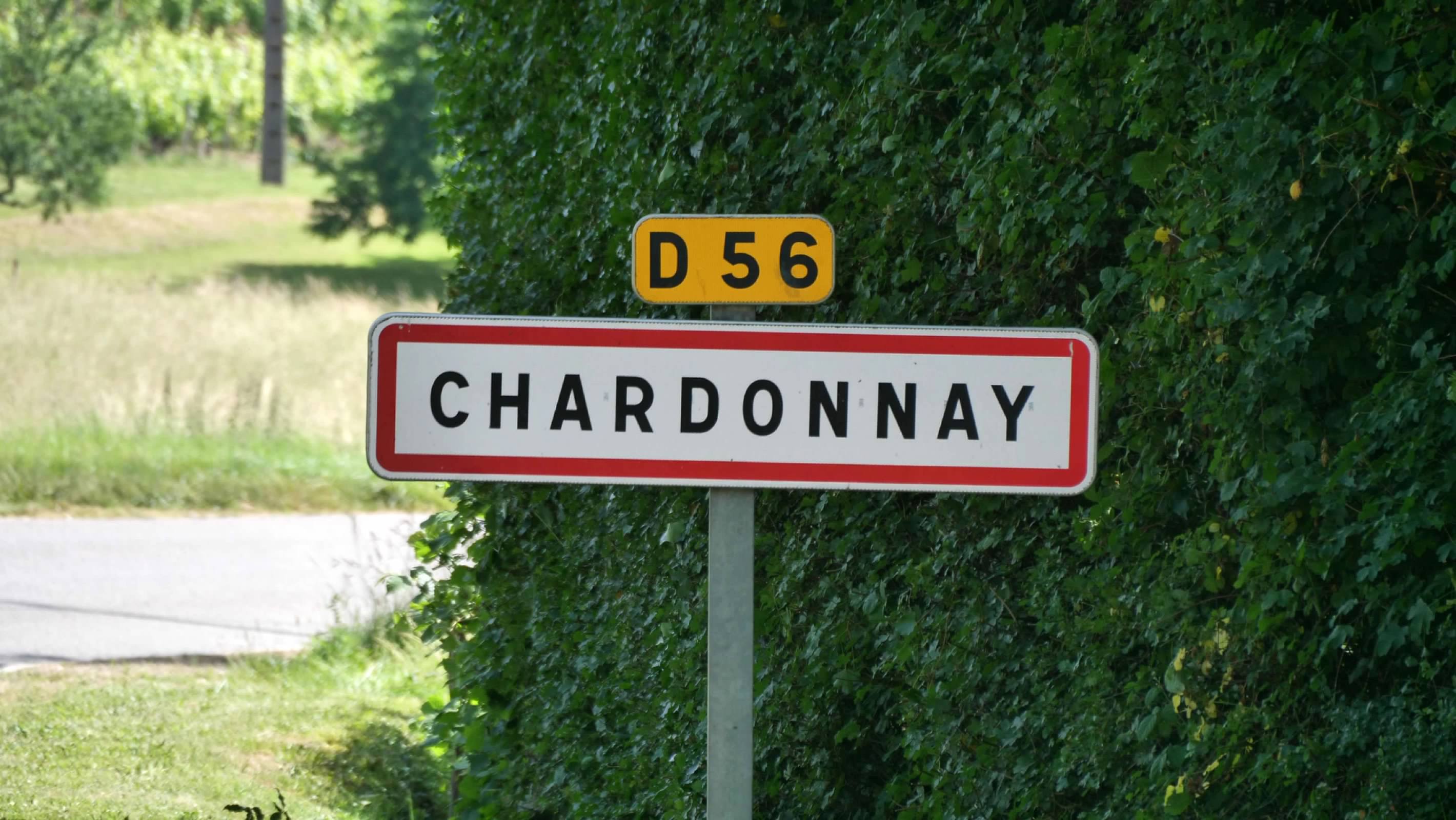 Welcome to Chardonnay
