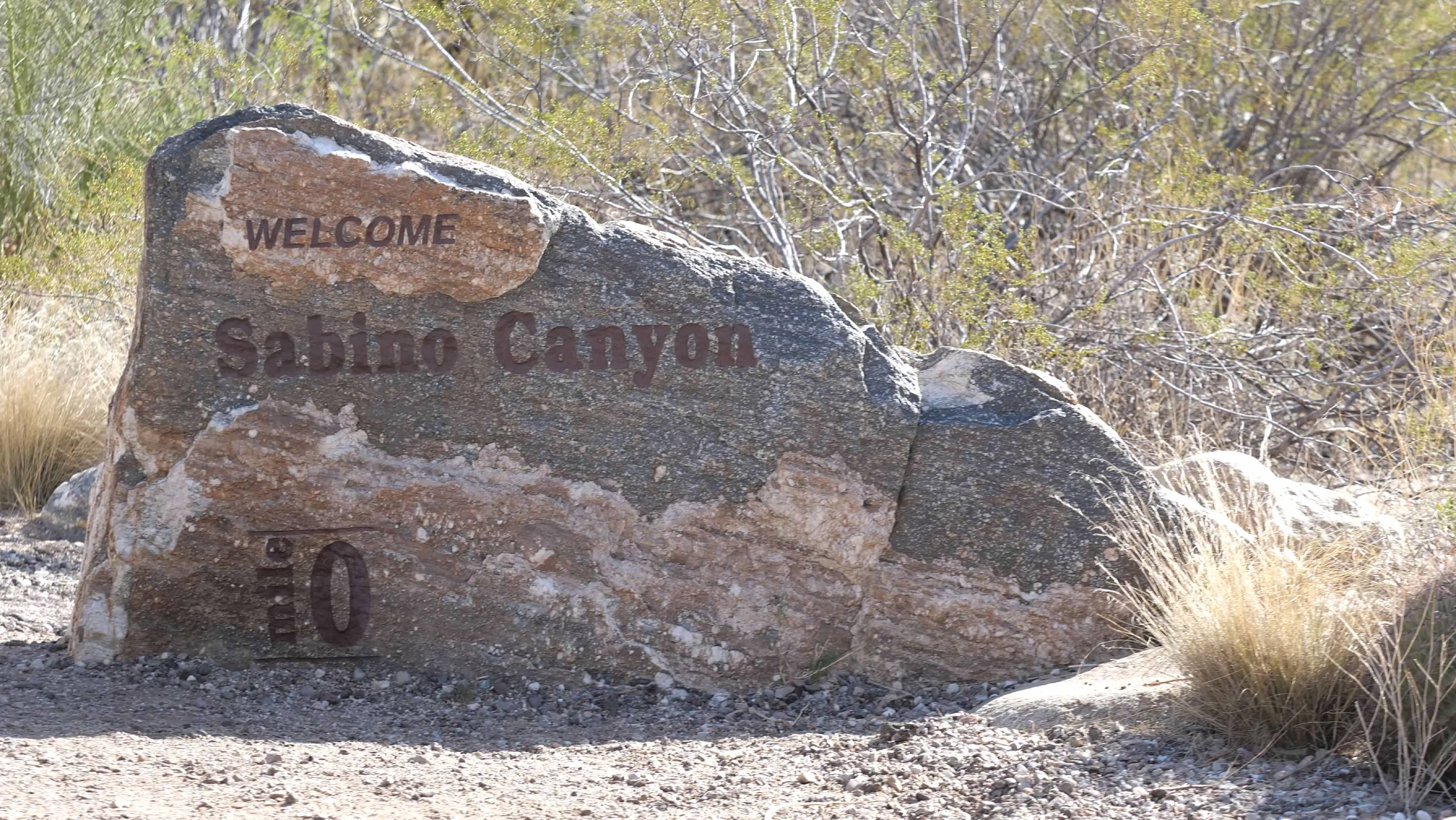 Sabino Canyon