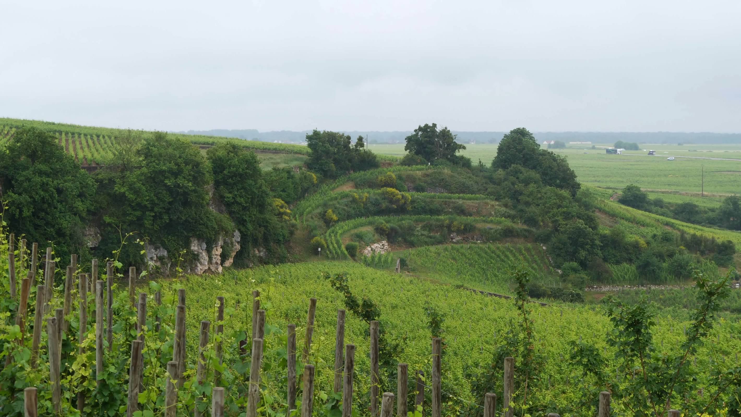 Terraced vineyards near Vougeot